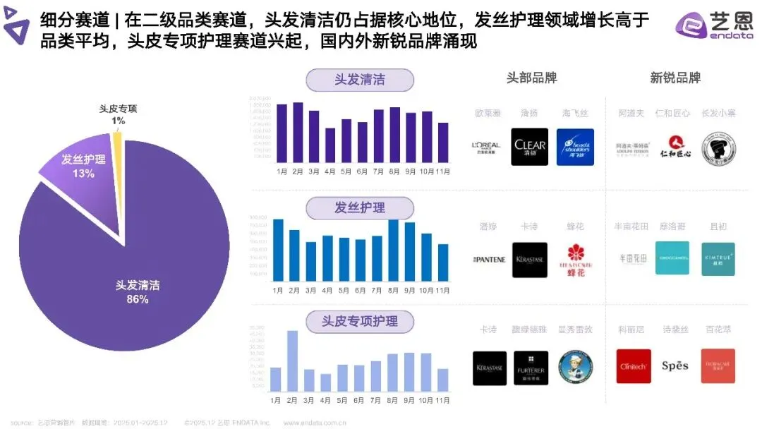 2025年头发洗护品类社媒营销趋势洞察