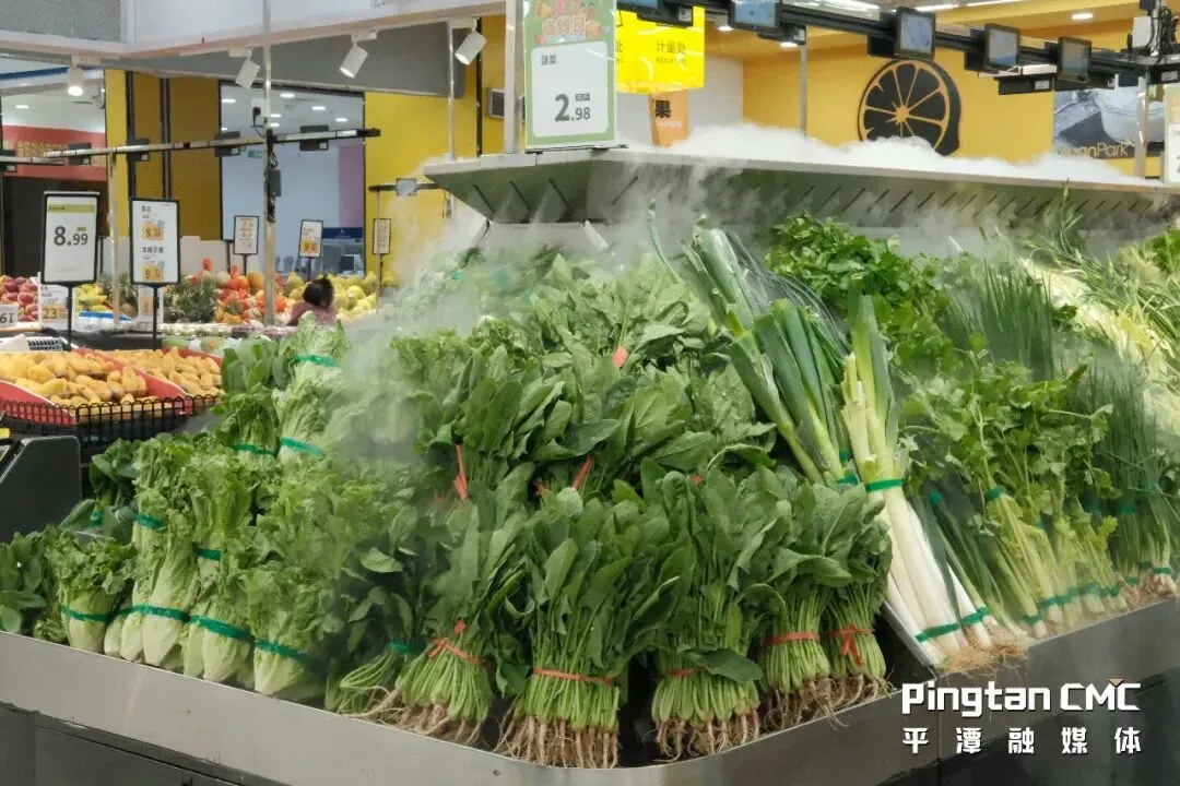 春天的味道来了!平潭市场春菜上新,鲜嫩又实惠