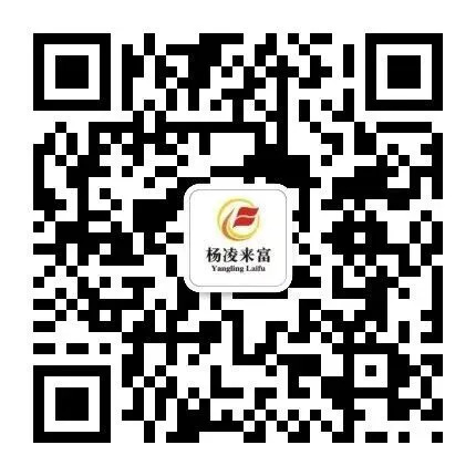 砺剑营销 竞岗破局——杨凌来富公司成功召开营销关键岗位竞聘会