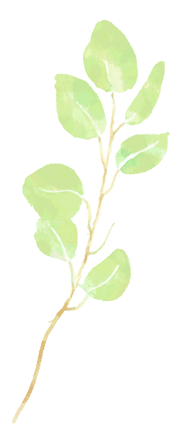 活动|青春市集——校园跳蚤市场即将启幕,环保与实践双向奔赴!