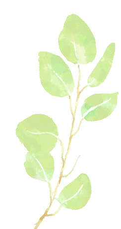 活动|青春市集——校园跳蚤市场即将启幕,环保与实践双向奔赴!