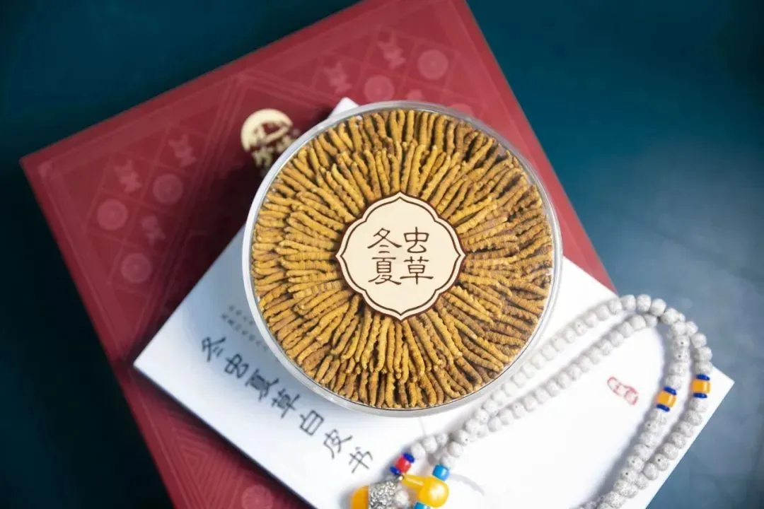 崩了!虫草市场价格大降价!