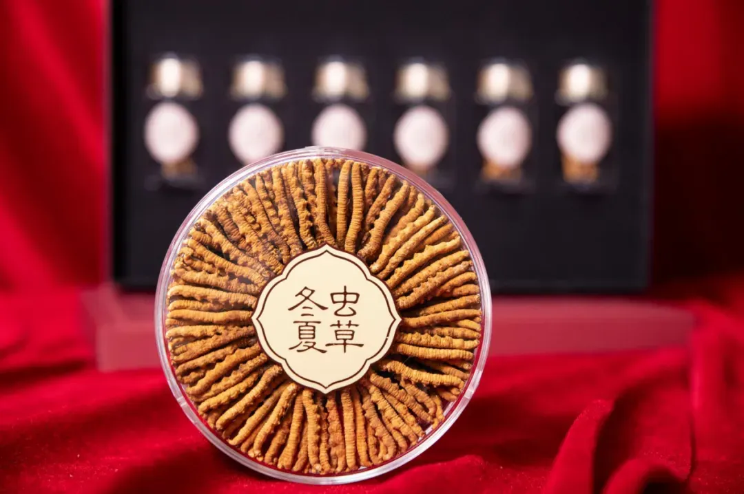 崩了!虫草市场价格大降价!