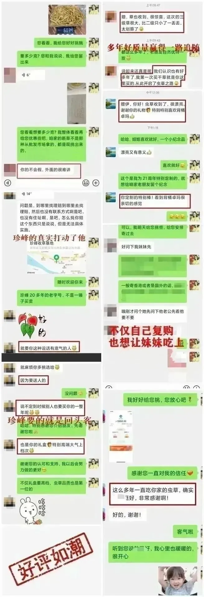 崩了!虫草市场价格大降价!