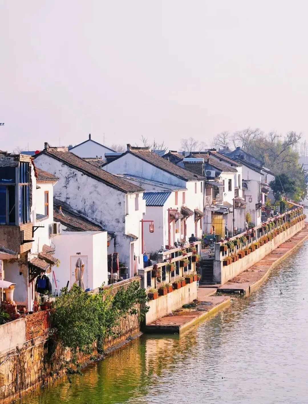 紫砂市场理性观,精品艺术藏品的稀缺性本质——紫砂产业发展与艺术稀缺性,基于行业数据的理性解读