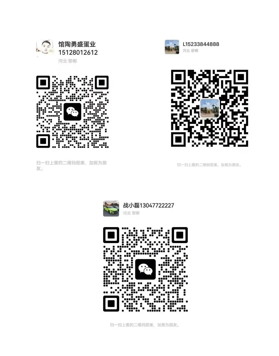 2026年3月27日馆陶金凤市场价格播报(勇盛蛋业)