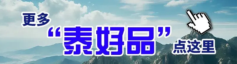 市市场监管局参加省政府新闻发布会 介绍泰安市质量基础设施“一站式”服务平台建设情况