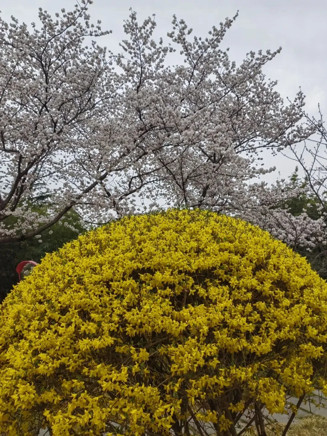 投资视角下的市场有效理论与无效理论