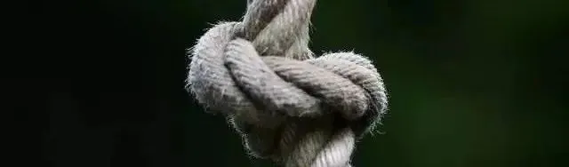 进化与回响:个险营销三十载,中国人寿2025年报里锚定高质量发展的“长周期答卷”