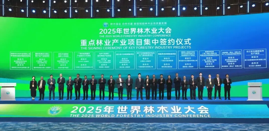 决战决胜·十四五丨锚定市场航向 赋能高质量发展