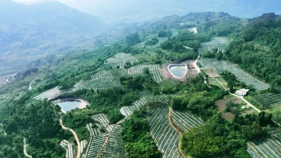 决战决胜·十四五丨锚定市场航向 赋能高质量发展