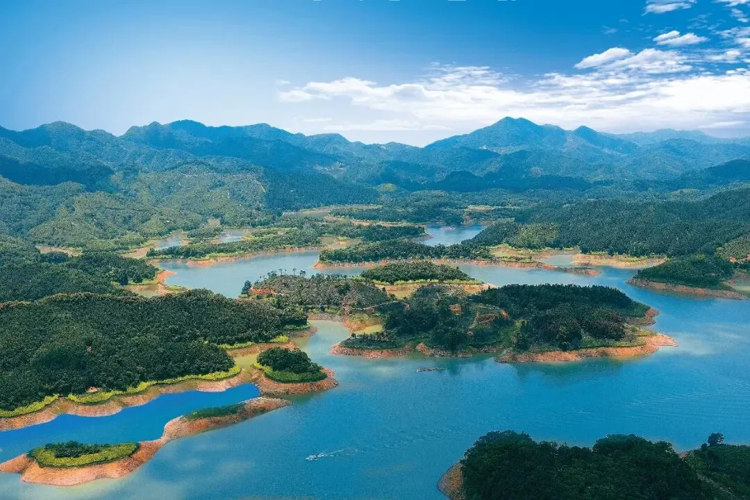 决战决胜·十四五丨锚定市场航向 赋能高质量发展