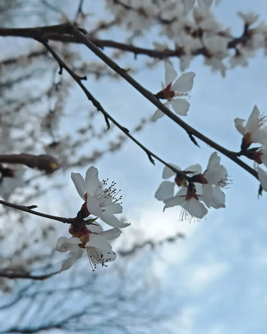 36岁北漂9年,我是如何被北京相亲市场层层筛选掉的?