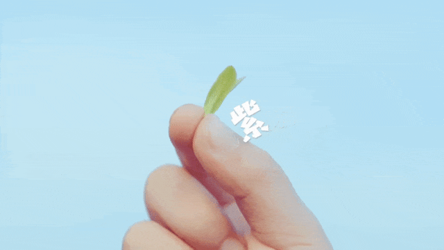 紫阳县供销联社多渠道开拓茶叶市场