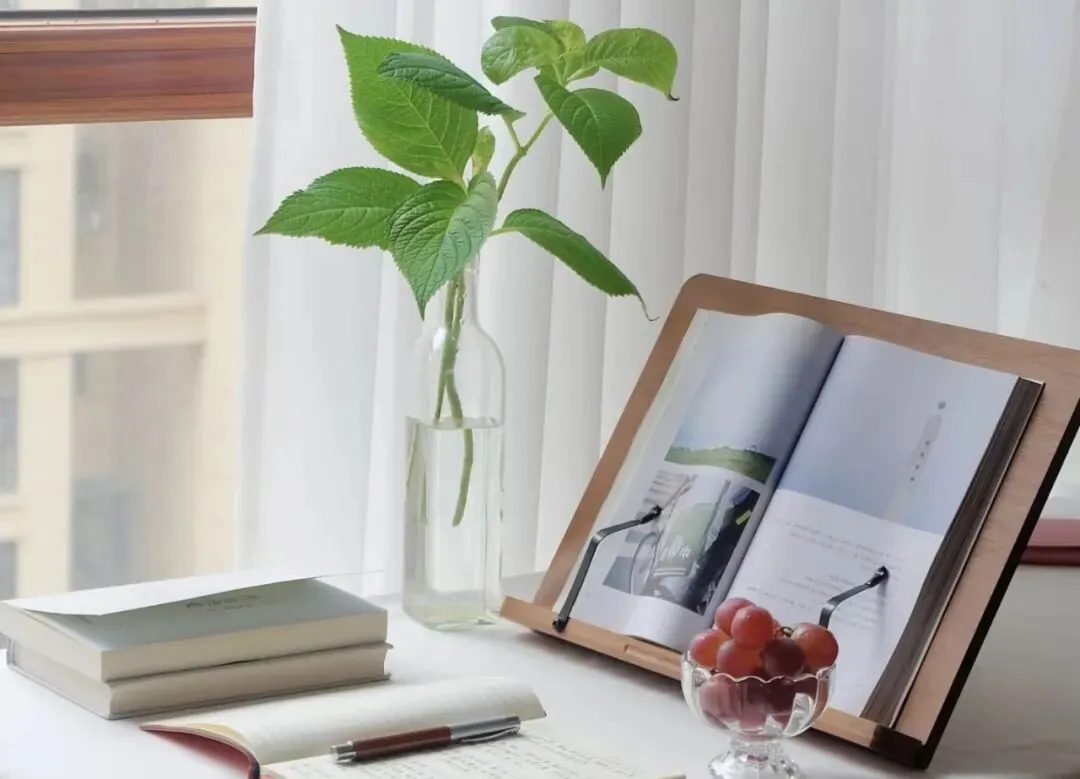 读记|流入旧市场的书就是品味不佳的书吗?