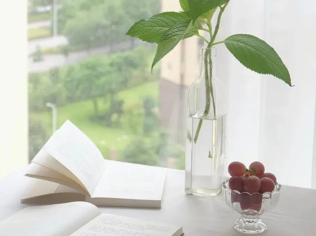 读记|流入旧市场的书就是品味不佳的书吗?