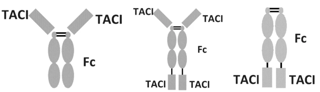 恒瑞入局,国内系统性红斑狼疮市场及在研现状