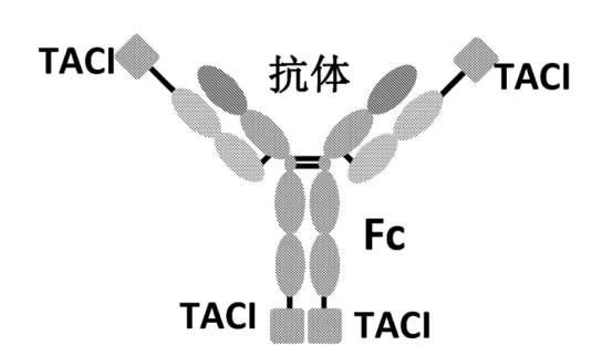 恒瑞入局,国内系统性红斑狼疮市场及在研现状