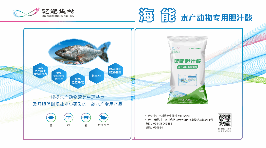 资深行业老兵,对水产料市场、企业经营的深度思考