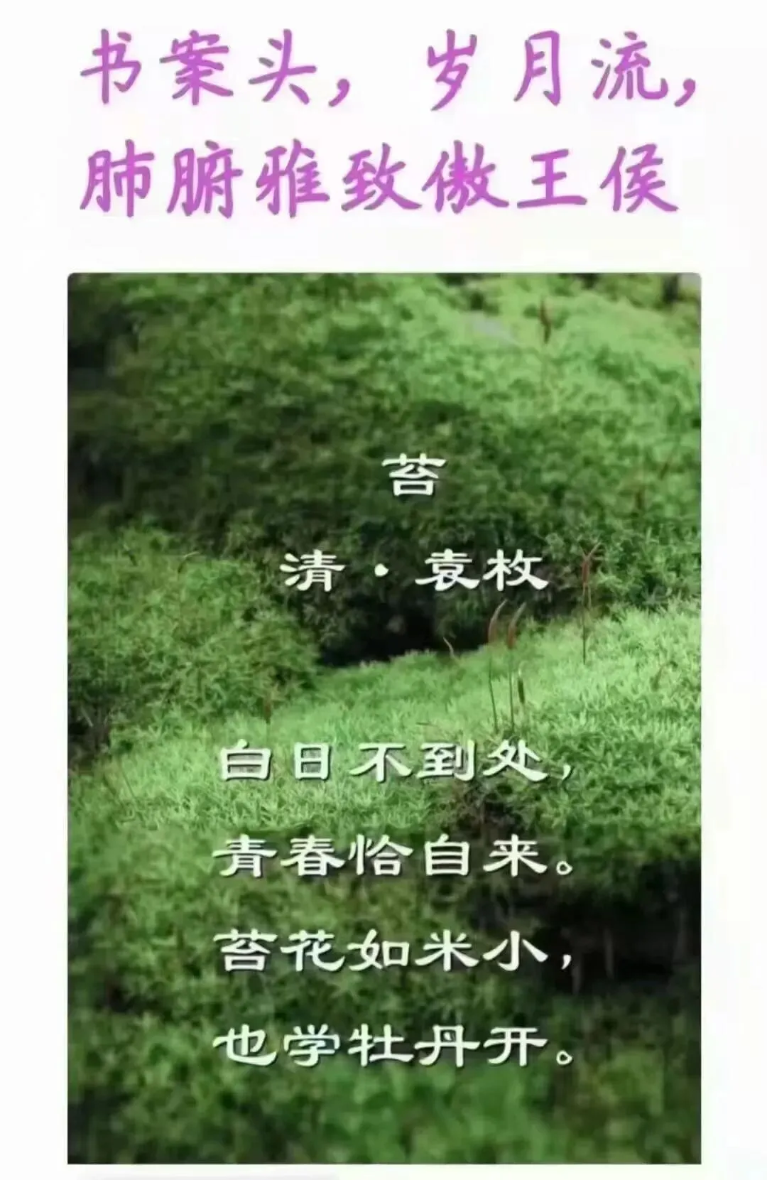 【悦读茶坊】山西市场导报副刊作品——母亲的留白