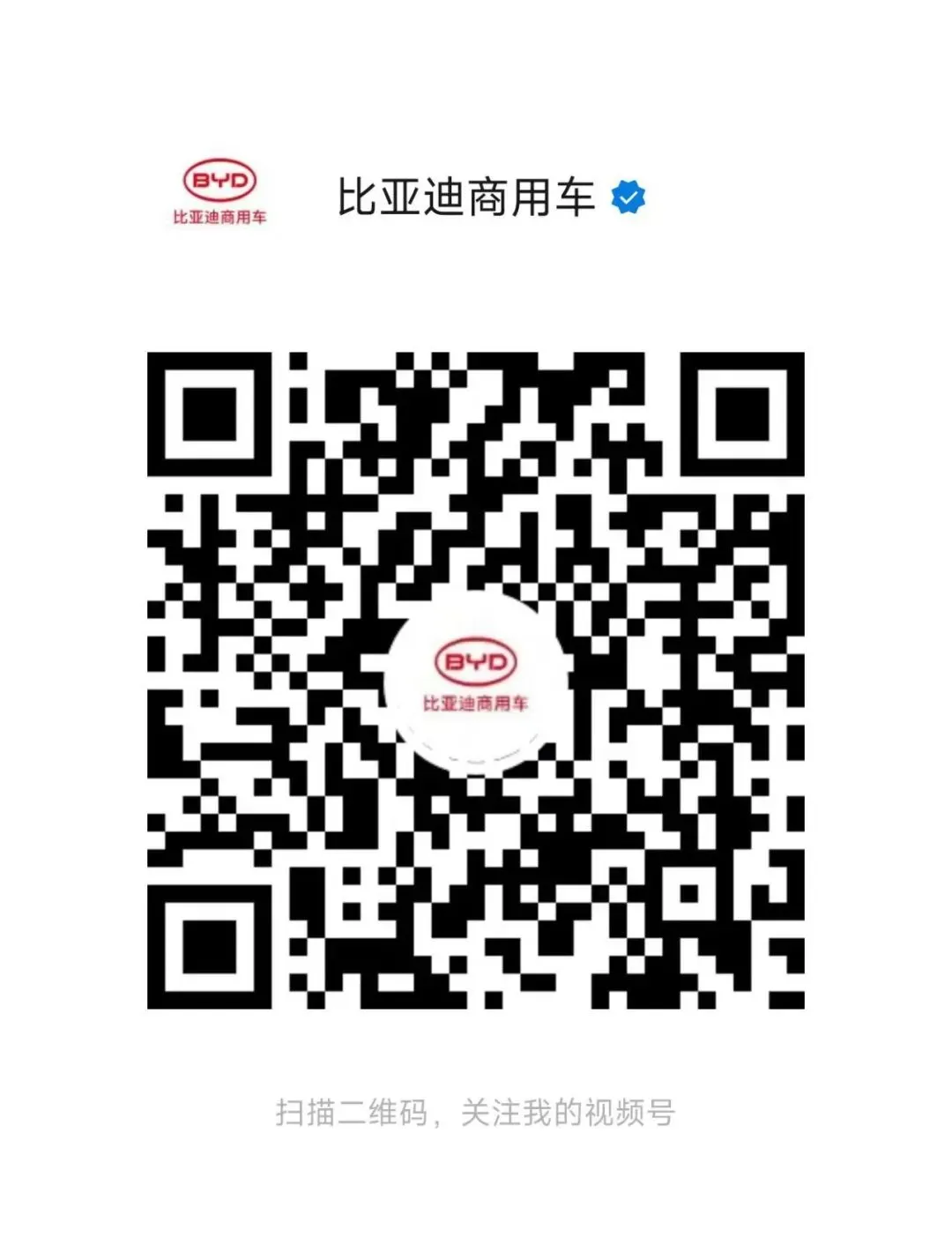 比亚迪纯电小卡在新加坡正式上市,乘商市场双线领跑