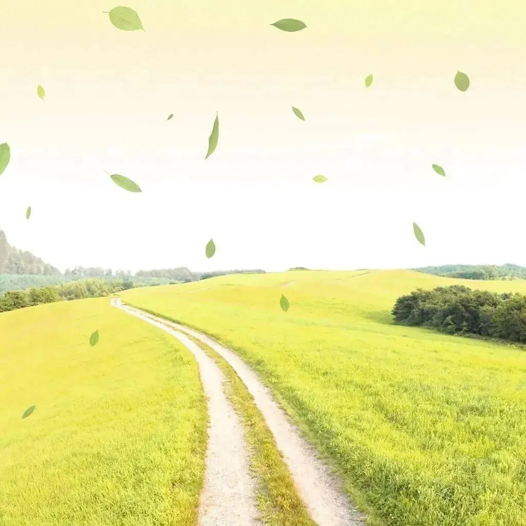 节假日逛古玩市场?这些规矩和圈套你知道吗