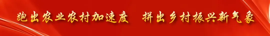 走出去丨积极拓展全球市场 乐山茶迪拜海湾食品展上受追捧