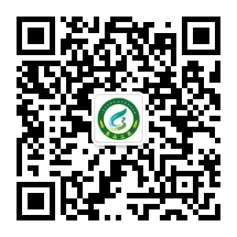 走出去丨积极拓展全球市场 乐山茶迪拜海湾食品展上受追捧