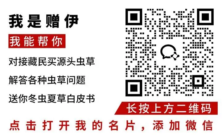 崩了!虫草市场价格大降价
