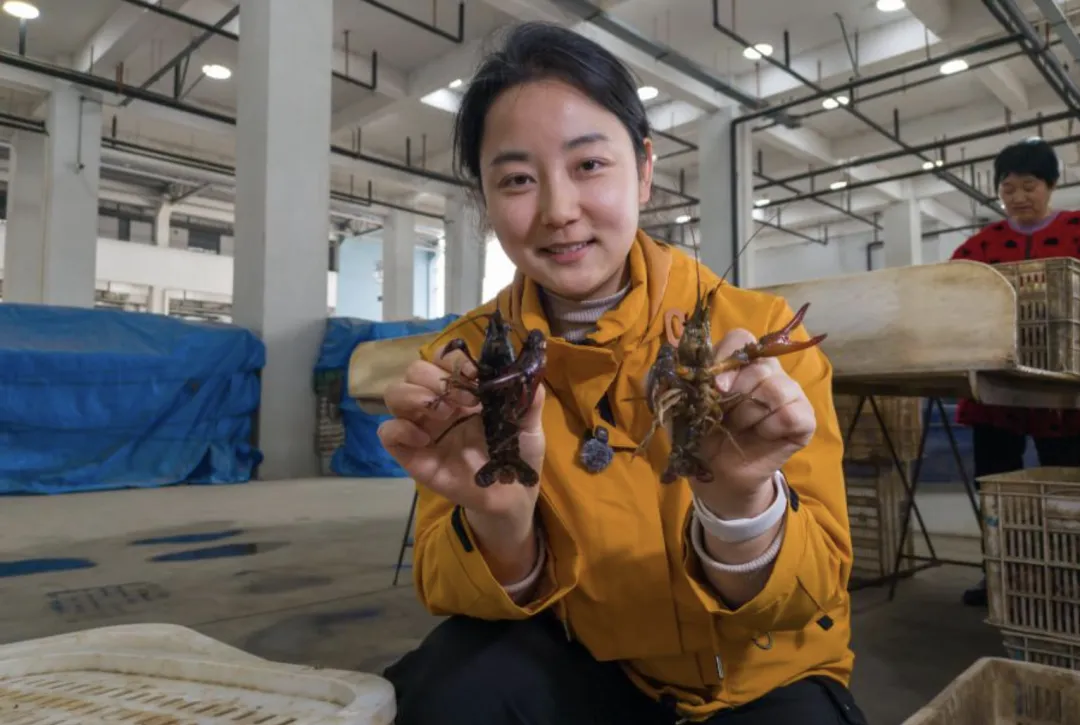 合肥最大的小龙虾批发市场搬家