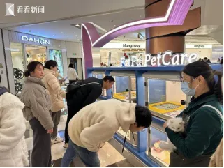 上海商业市场进入分化与重塑新周期——迈向存量调优、模式创新与价值重生的新阶段(下篇)