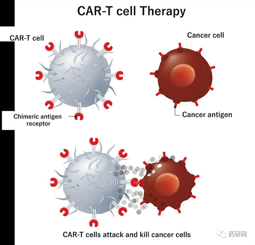 市场潜力巨大却表现平庸,CAR-T将如何破局?