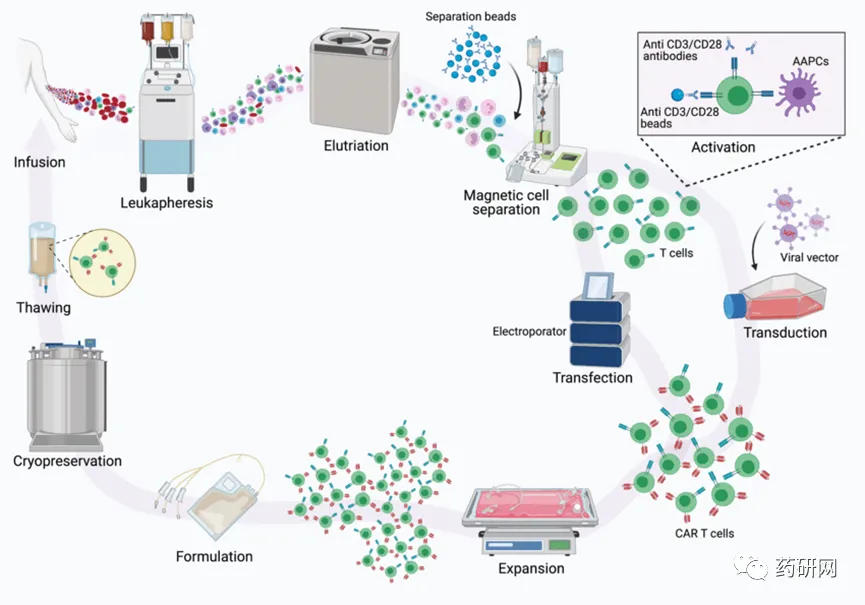 市场潜力巨大却表现平庸,CAR-T将如何破局?