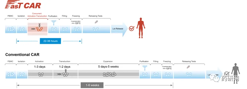 市场潜力巨大却表现平庸,CAR-T将如何破局?