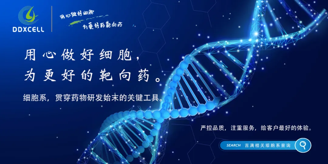 市场潜力巨大却表现平庸,CAR-T将如何破局?