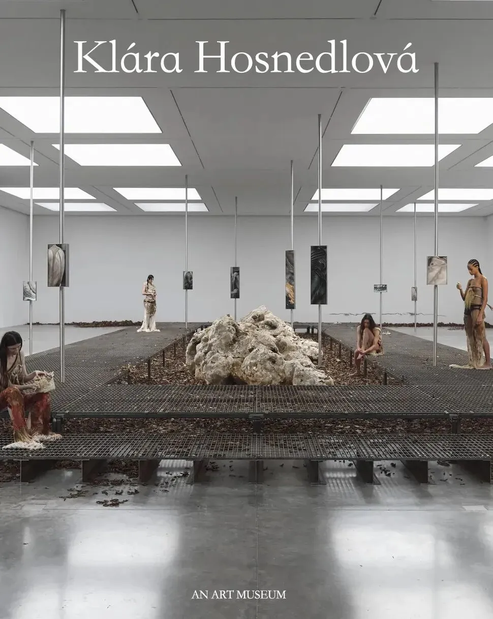 怀旧作为生意:豪斯德洛娃的文化批判与市场妥协