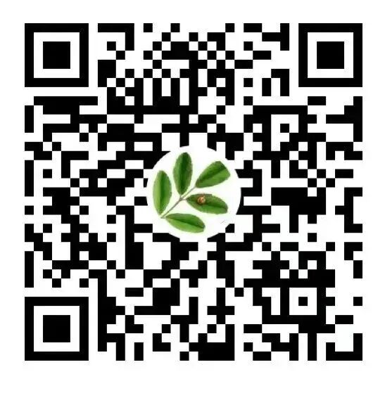 报名 | 亲子+市场双拓展,第八期自然引导师社群工作坊限额招募!