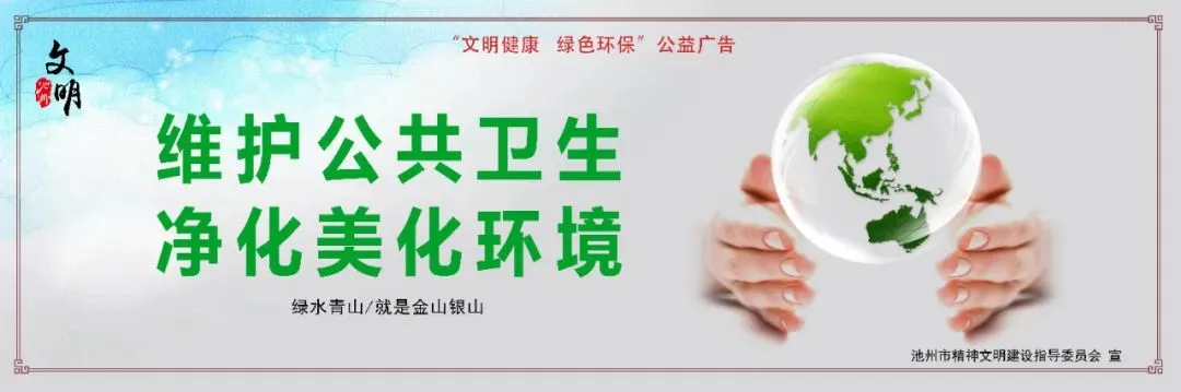 贵池:以旧换新政策“显效” 消费市场“涨”势喜人