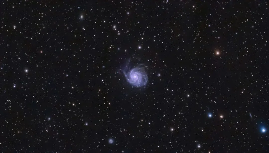 我猜,你也在等我对联合营销的看法吧?