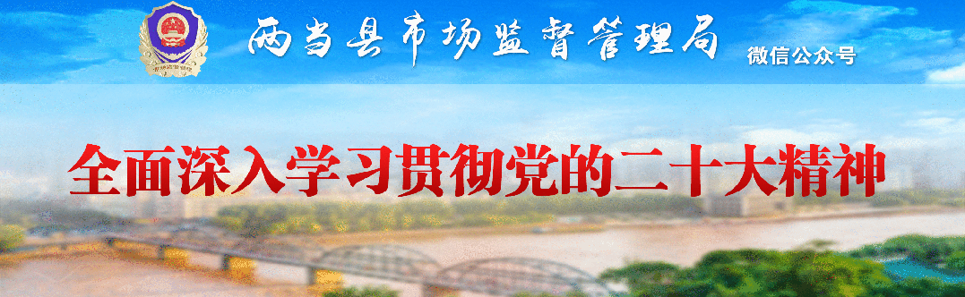 锦旗传谢意 服务暖企心—— 两当县市场监管局优化营商环境获企业赞誉