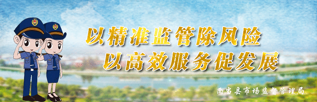 锦旗传谢意 服务暖企心—— 两当县市场监管局优化营商环境获企业赞誉