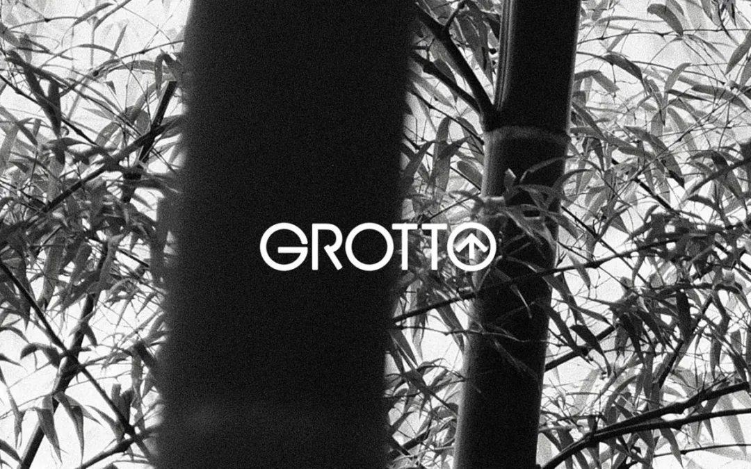 个乐丨跻身销售榜单TOP阵营的国产包袋黑马【汤臣战略研究院】