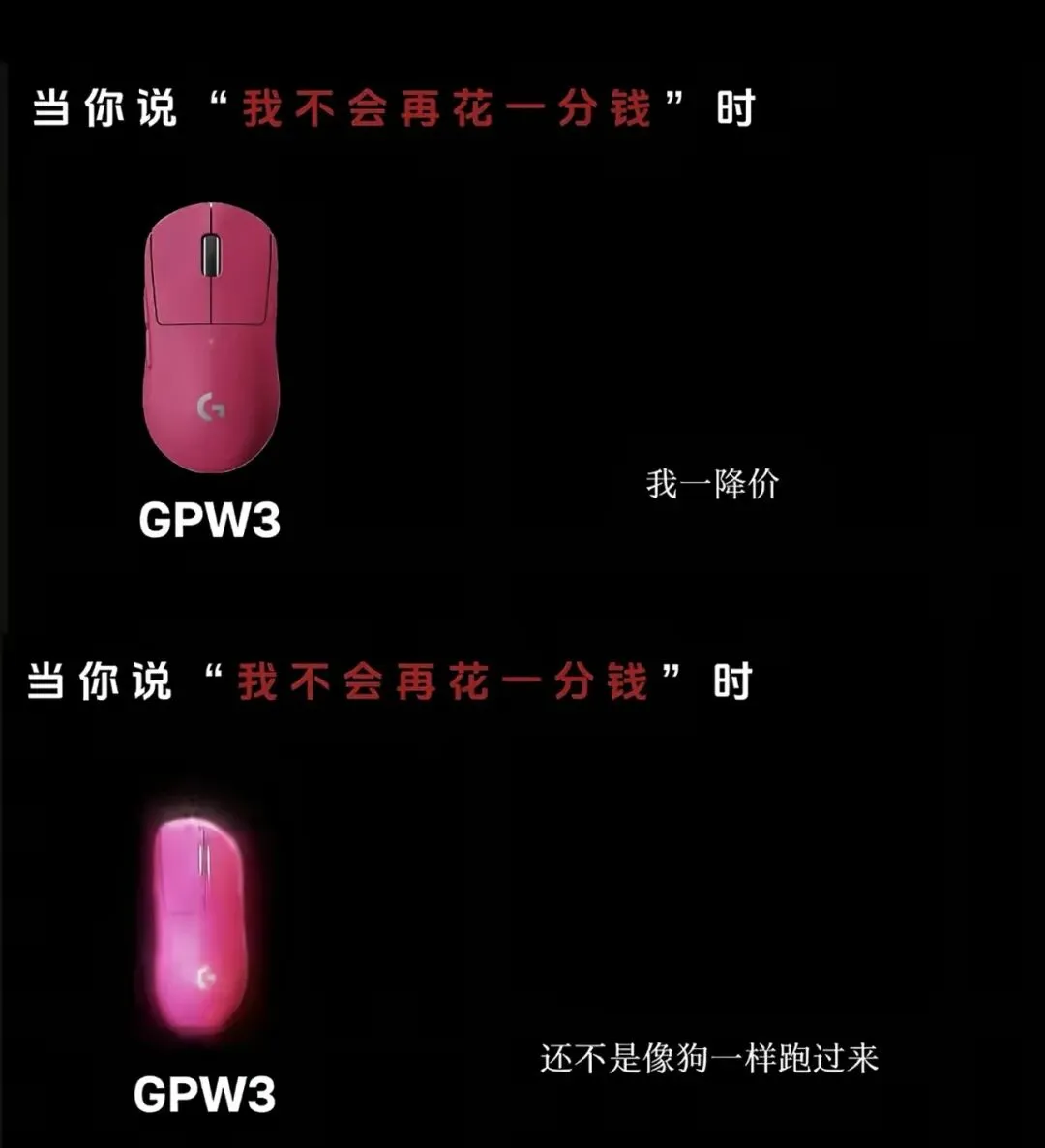 营销视频被指侮辱消费者是“狗”,罗技中国深夜致歉