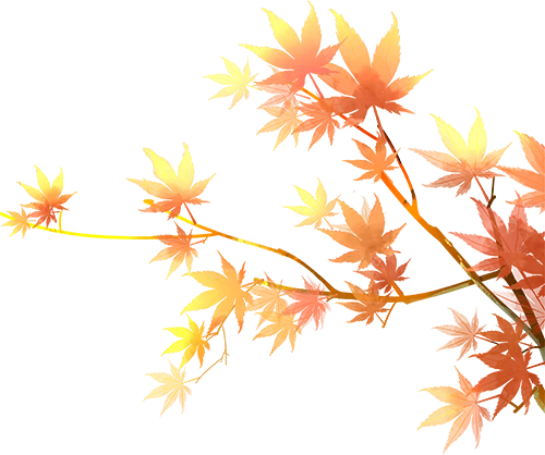 通信行业线上获客不用愁!精准代发帮你锁定意向客户