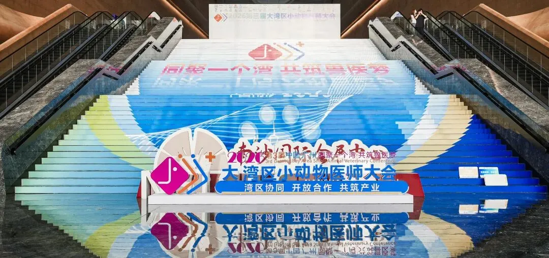 【市场动态】第三届大湾区小动物医师大会圆满落幕,期待再会!