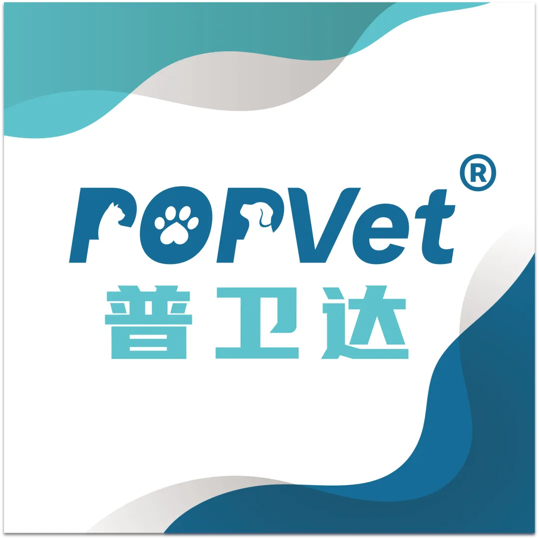 【市场动态】第三届大湾区小动物医师大会圆满落幕,期待再会!