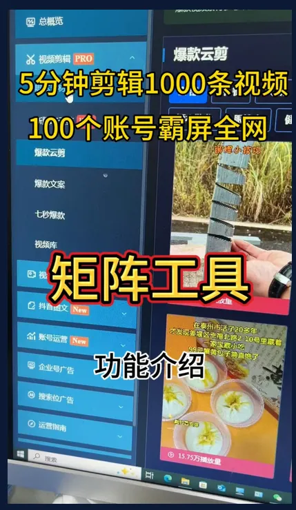 《新媒体短视频矩阵+获客+SEO全套落地》项目介绍