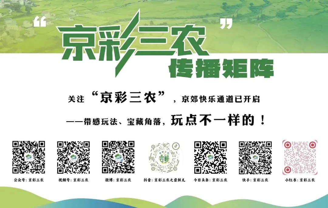 2026北京市乡村旅游品牌打造与数字营销高素质农民培训班招募通知