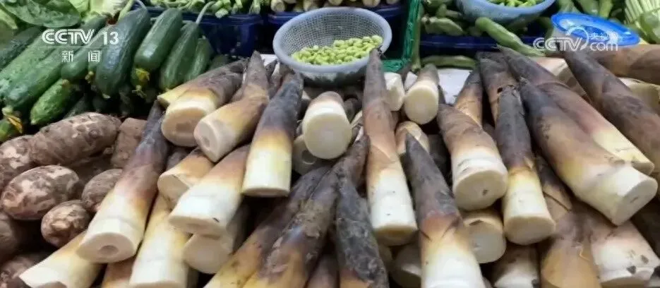 消费市场“春鲜”热潮涌动 “春日经济”活力十足