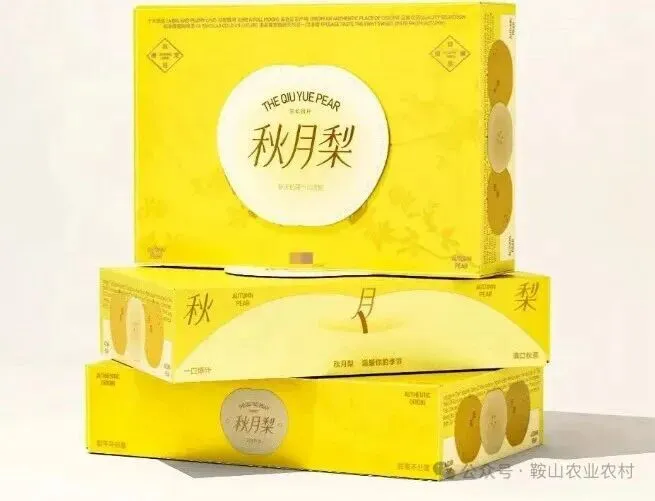 营销策划方案撰写:市场研究,如何通过深度调研,找到生意的“准星”